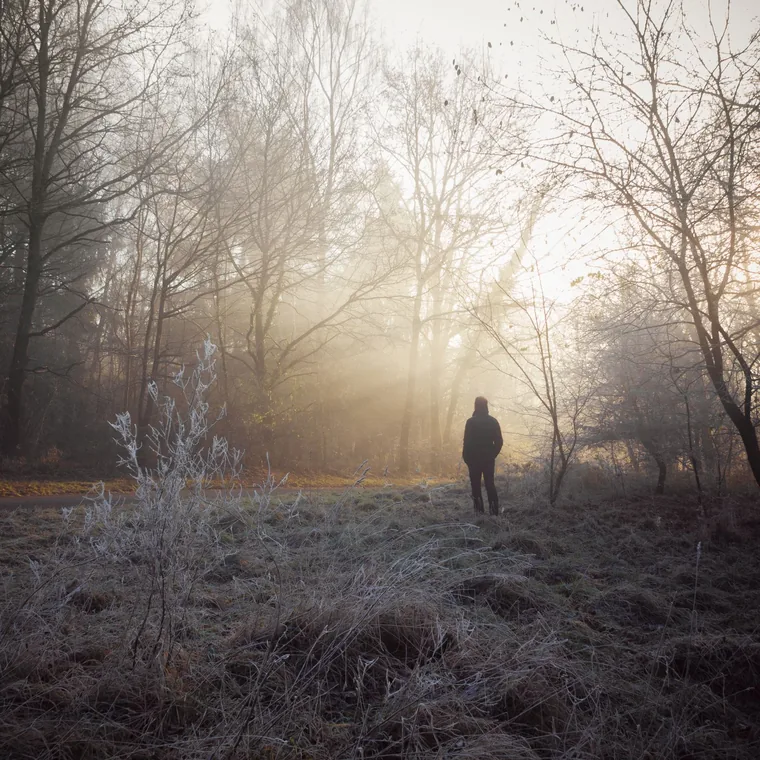 A person standing alone in an open, misty field